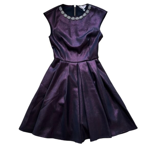 Ted Baker Embellished Neck Skate Dress Size 2 New with tags - Picture 1 of 10